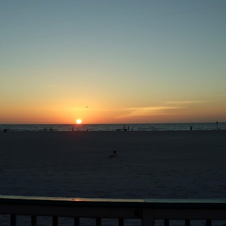 Mary Mcdonough Photo 15