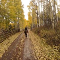 Cara Smith Photo 14 Cara Smith Photo 14