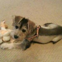 Brenda Balcom Photo 4