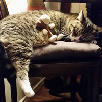 Janet Ireland Photo 23