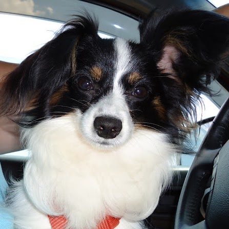 Christine Glass Photo 36