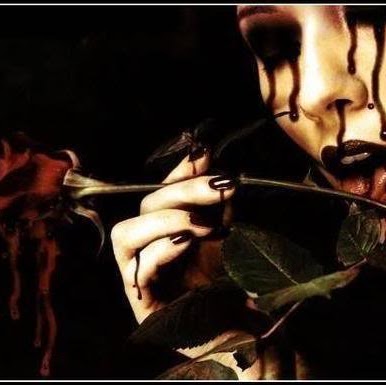 Amanda Lehman Photo 11