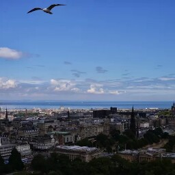 Raymond Ching Photo 12