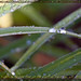 Rickey Rains Photo 5