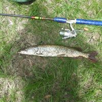 Todd Blanchard Photo 29