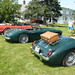 Doug Latham Photo 28
