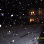 Julie Womack Photo 43