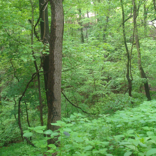 Christine Bowman Photo 39