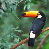 Abraham Curiel Photo 4