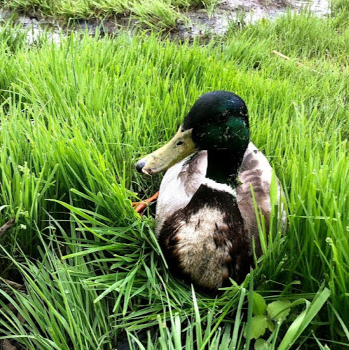 Aaron Warren Photo 25