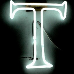 Tracy Thornton Photo 18