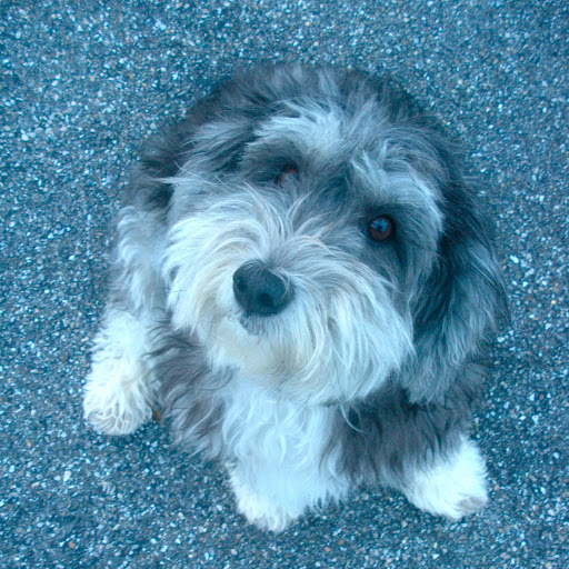 Julia Mcguire Photo 16