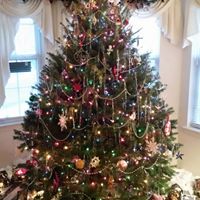 Joseph Alaimo Photo 12