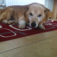 Catherine Downey Photo 5