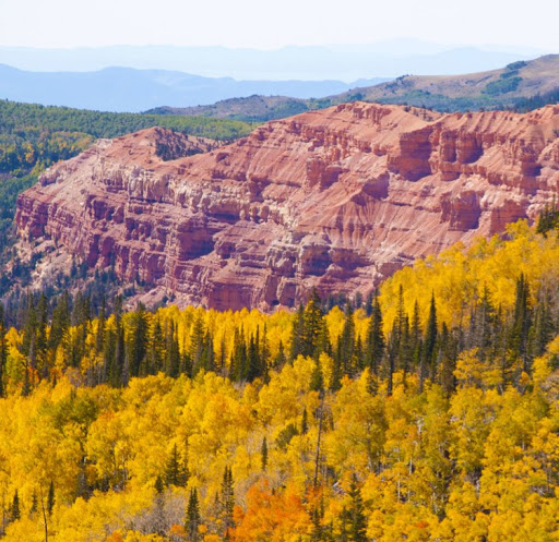 Veronica Whittaker Photo 7