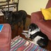 Christine Gatti Photo 11