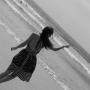 Kim Harvey Photo 19