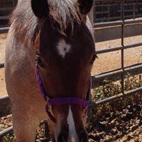 Janet Heckman Photo 12