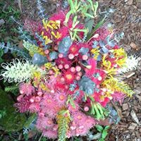Tracey Schroeder Photo 11