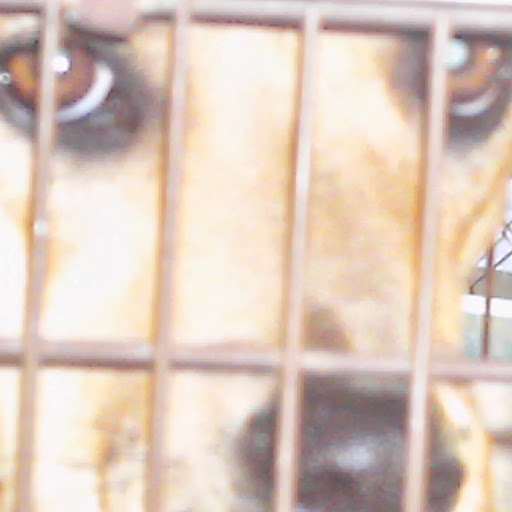 Nancy Darby Photo 27