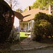 Stephen Cornelius Photo 10