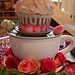 Tracy Rawlins Photo 20