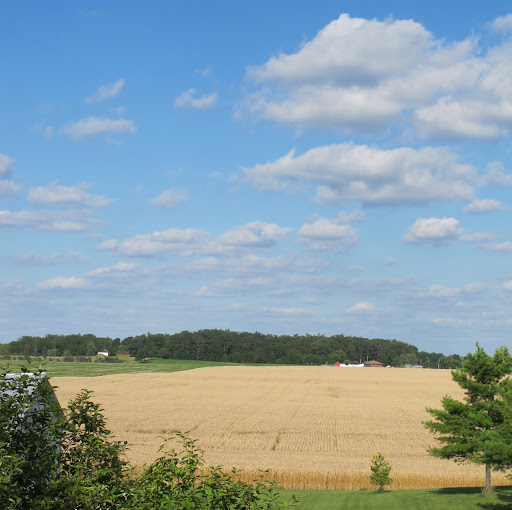 James Caudill Photo 28