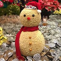 Yucheng Chen Photo 13