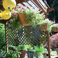 Nancy Piazza Photo 25