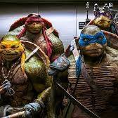 Christian Crook Photo 3