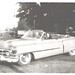 Norma Jackson Photo 42