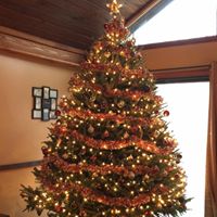 Lisa Crites Photo 22