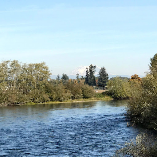Suzanne Burch Photo 13