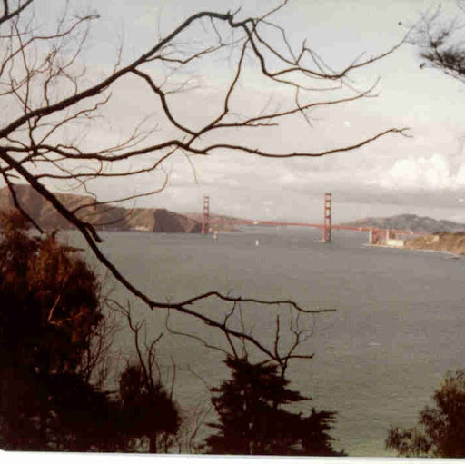 Tony Marino Photo 12