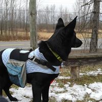 Brenda Field Photo 16