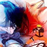 Andy Fuentes Photo 12