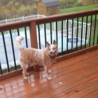 Kathy Watkins Photo 27