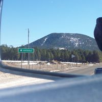 Michelle Rybicki Photo 2