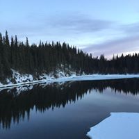 Charlene Morin Photo 23