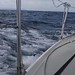 Brian Peterman Photo 16