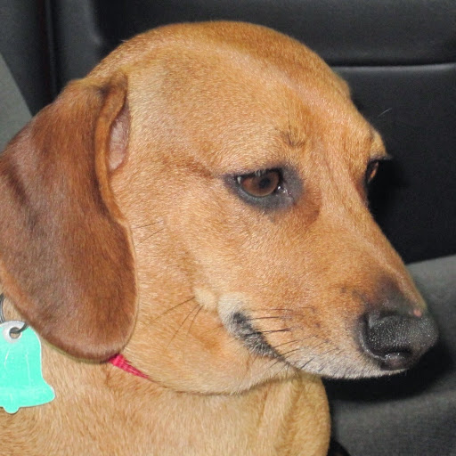 John Surber Photo 24