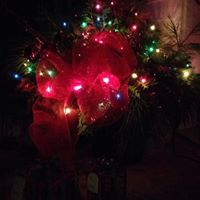 Theresa Sproul Photo 7