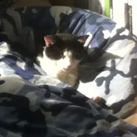 Jacob Wiener Photo 5