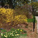 Barbara Rodgers Photo 22