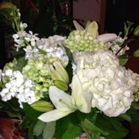 Bridget Robinson Photo 9