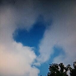 Kelly Clapp Photo 9