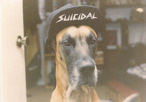 Edward Woods Photo 35