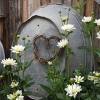 Carol Slater Photo 7