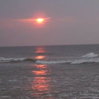 Paula Norris Photo 40