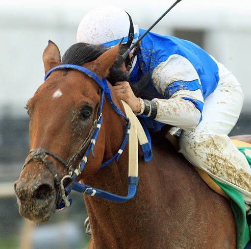 Christopher Crocker Photo 33